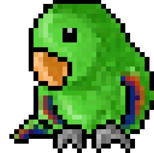 オオハナインコ オス